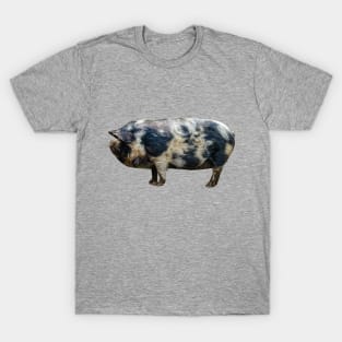 KuneKune pig T-Shirt